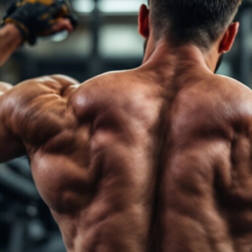 Sırt kasları çalıştıran bir kişi.