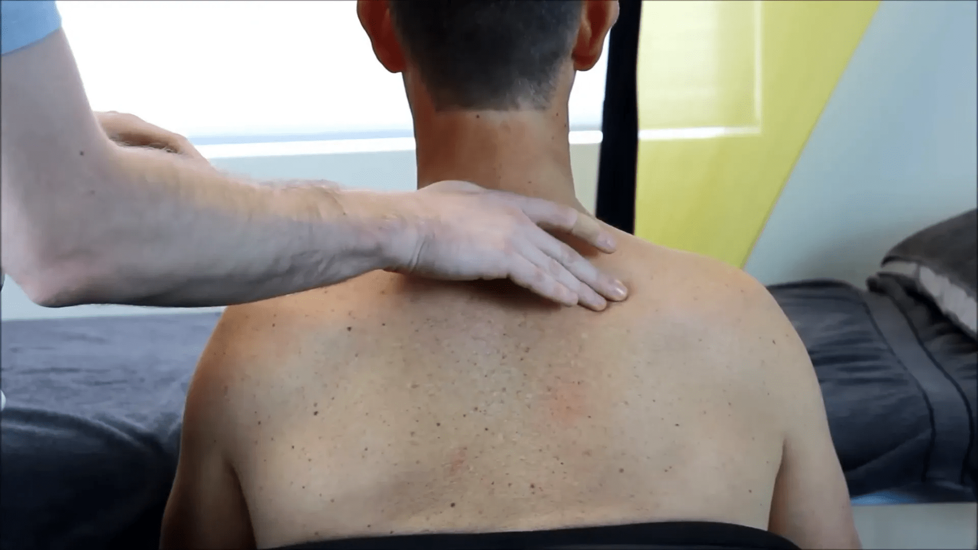 Rhomboid, trapez ve levator scapulae kasları