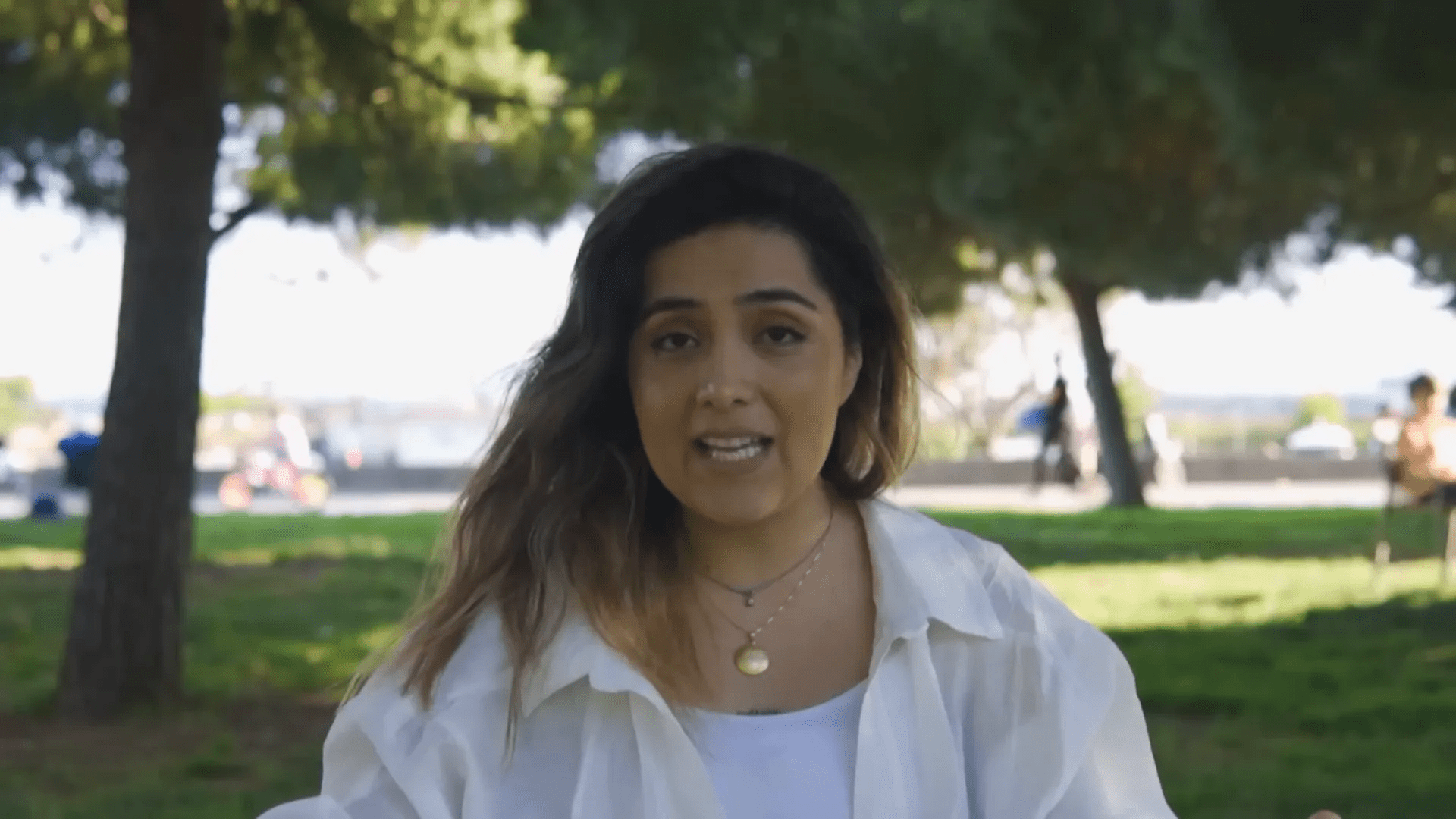 İstanbul'da sokak hayvanları