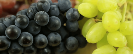 Masaj Okulu: Okulunuzun Size Anlatmadığı 6 Gerçek