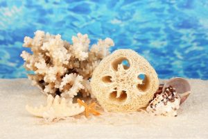 istanubl içinde masöz ile hizmet