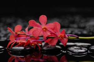 masaj şişli adresi