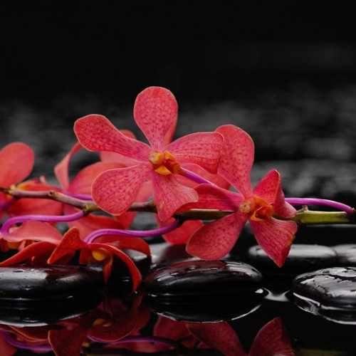 masaj şişli adresi