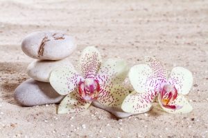 pendik özel rahatlatan masaj