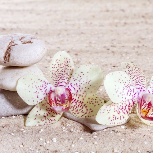 vip hizmet için masaj